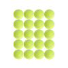 Dog Tennis Balls 20 Pack Pet Tennis Ball for Small Dogs Premium Fetch Toy Non-Toxic Non-Abrasive Material