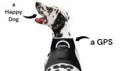 Broad GPS GSM Coverage Wireless Pet Tracking Collars for Hunting Dogs Size:S