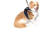 Broad GPS GSM Coverage Wireless Pet Tracking Collars for Hunting Dogs Size:S