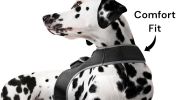 Pocket Cat Dog GPS Tracking Collar Device Realtime Tracker Waterproof Size:L