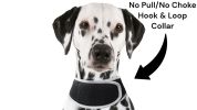 Inexpensive Mini Tracking Dog Collar GSM GPS Portable Location Tracker Size:L