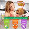 Immune Support Dog Supplement Dog Allergy Relief with Vitamins Minerals Echinacea and Brewers Yeast for Dogs Immunity Dog Health Supplies Dog Itch Rel